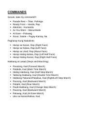 scout voice commands|Basic Commands – SCOUTING 101.